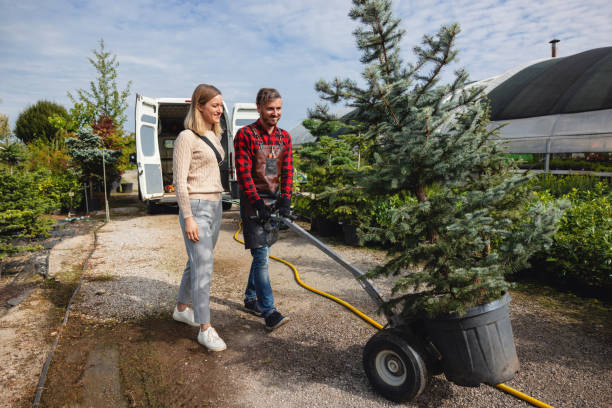 Best Tree Trimming and Pruning  in Dahlgren, VA